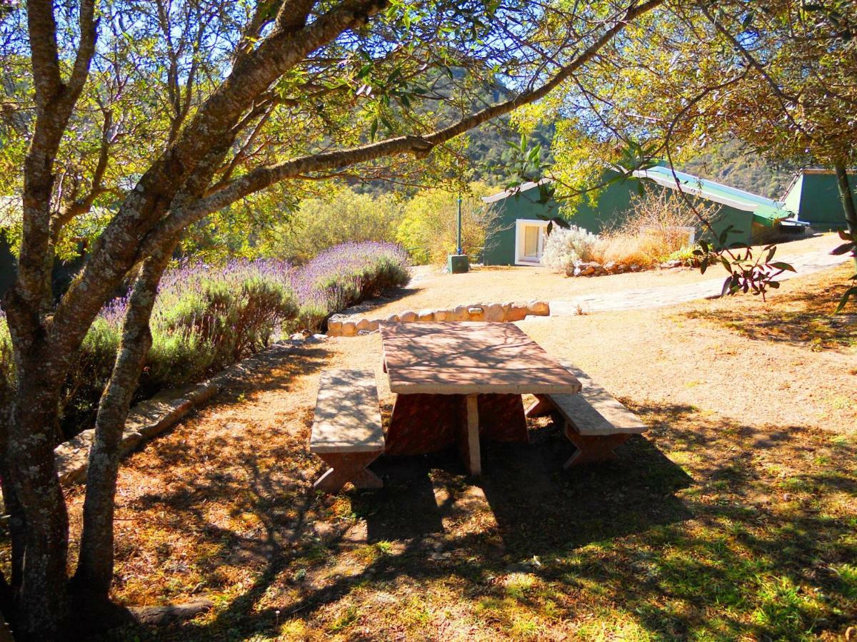 La Loma - Cabanas & Suites Villa Carlos Paz Dış mekan fotoğraf